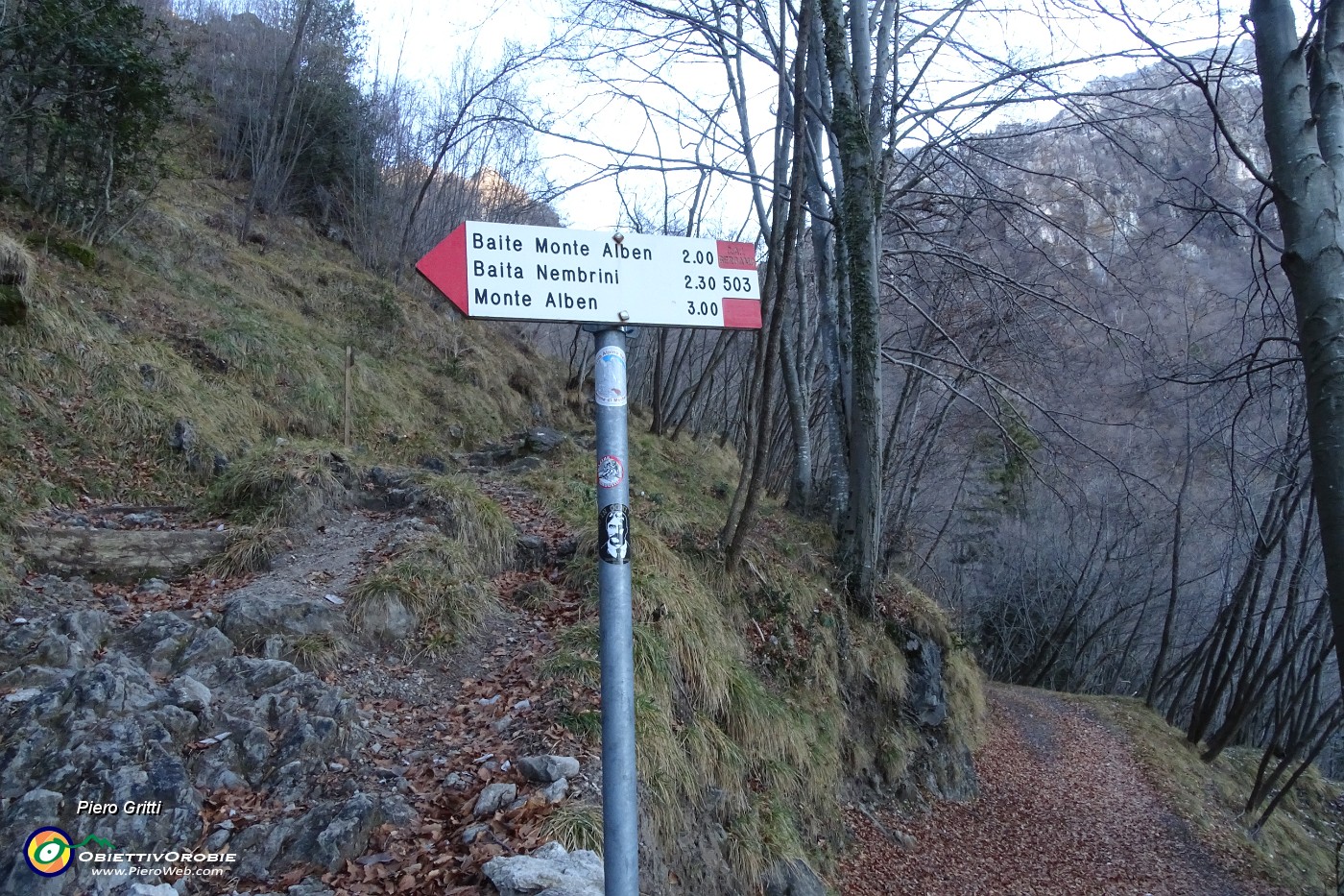 19 Imbocco il sent. CAI 503 -Sent. partigiano Martiri di Cornalba.JPG